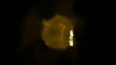 时尚金色文字粒子火焰燃烧模板视频的预览图